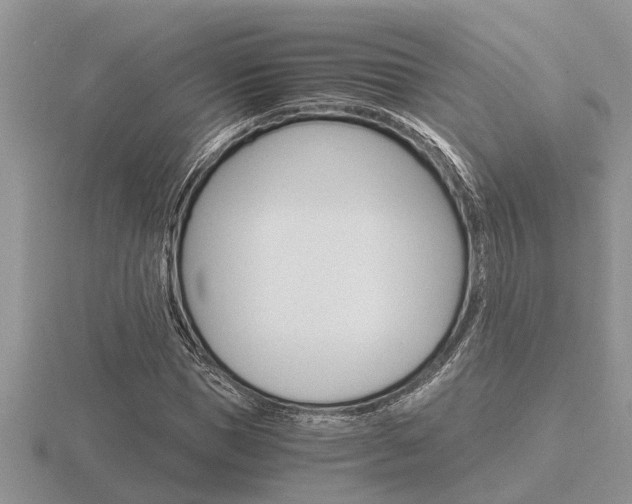 X0000116640921200912140942