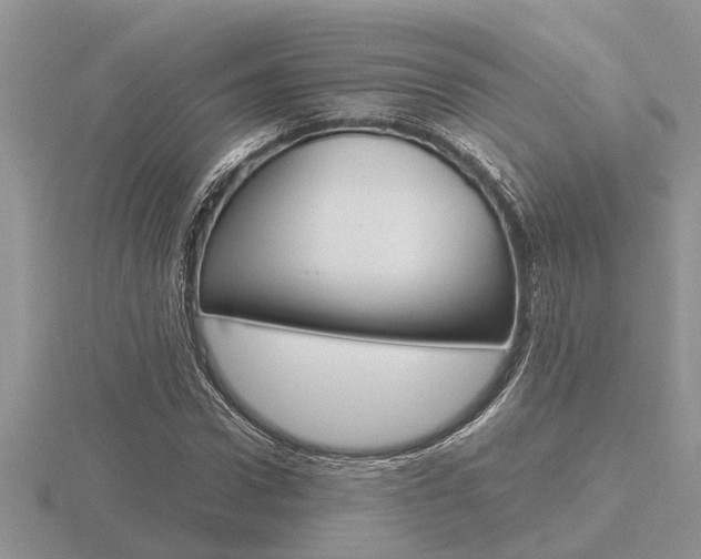 X0000116640922200912140942