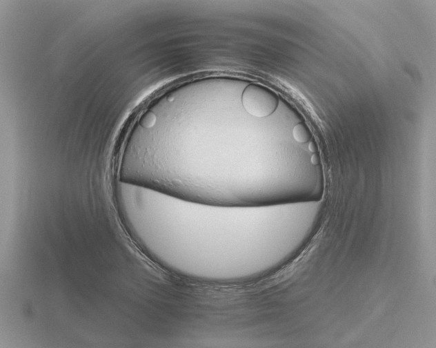 X0000116640931200912140942