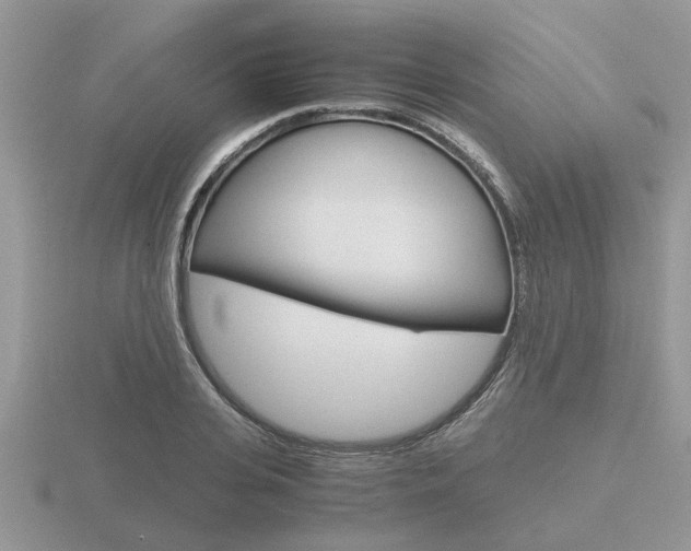 X0000116640935200912140942