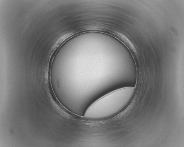 X0000116640938200912140942