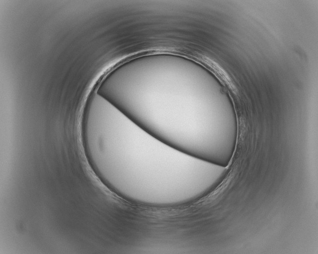 X0000116640939200912140942