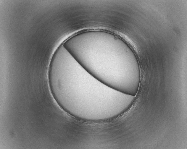 X0000116640943200912140942