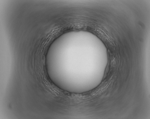 X0000116640961200912140942