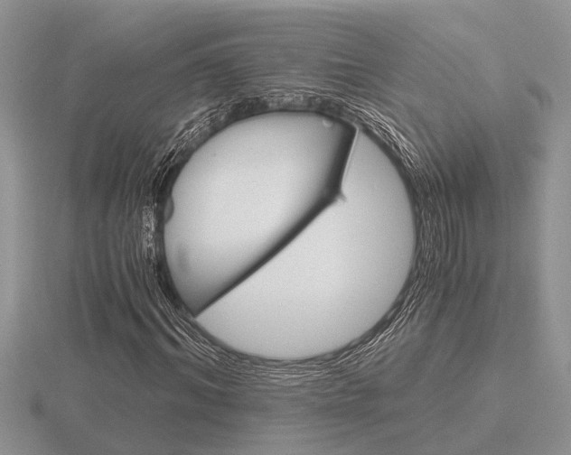 X0000116640964200912140942