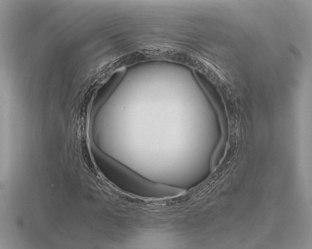 X0000116640965200912140942