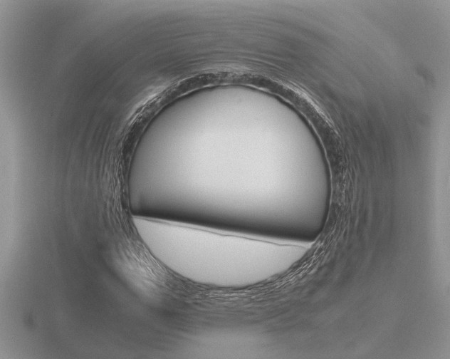 X0000116640967200912140942