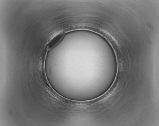 X0000116640969200912140942
