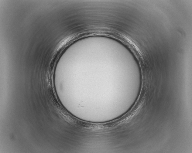 X0000116640970200912140942