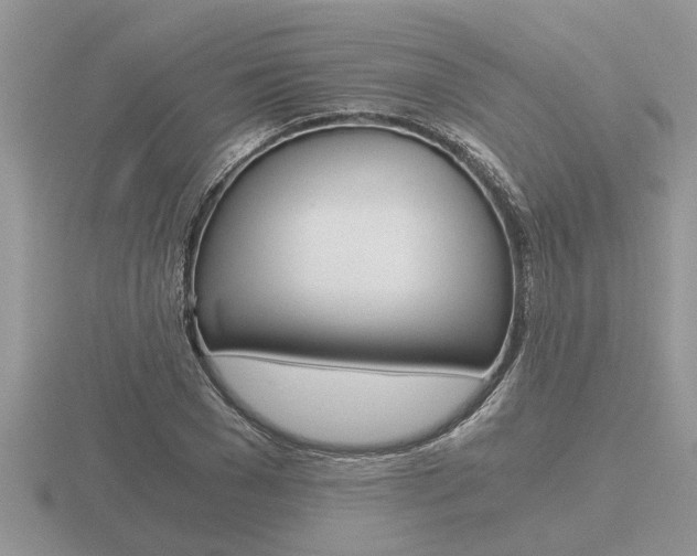 X0000116640977200912140941