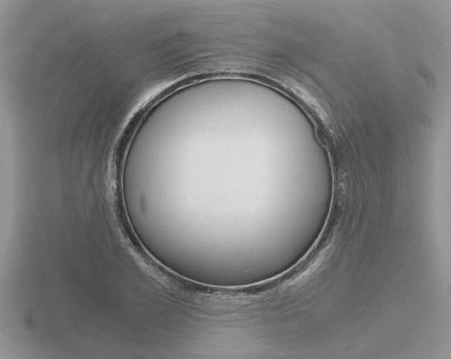 X0000116640981200912140941