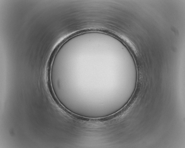 X0000116640983200912140941
