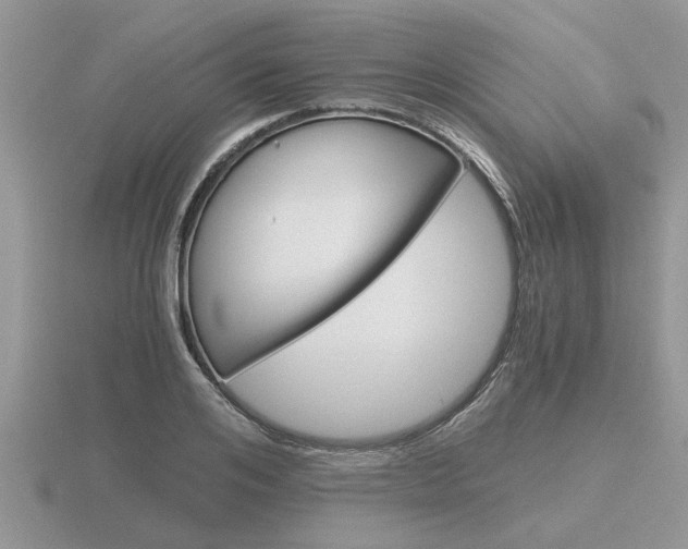 X0000116640984200912140941