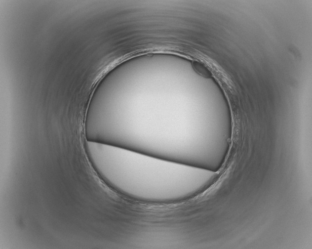 X0000116640985200912140941