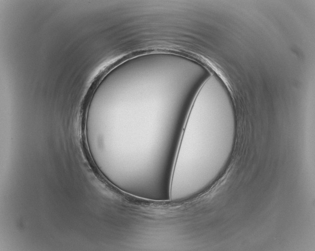 X0000116640987200912140941