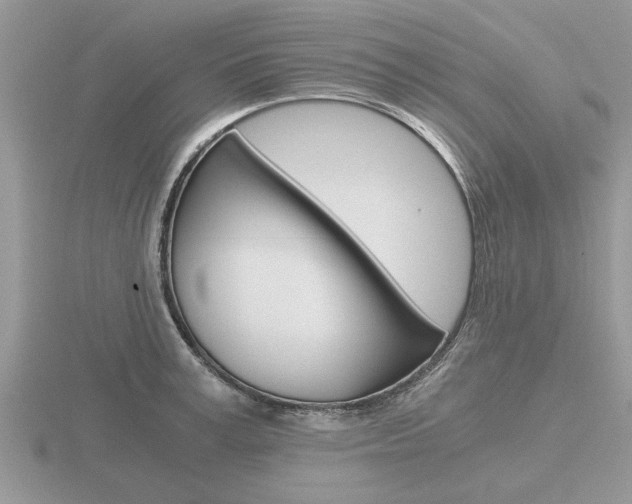 X0000116640995200912140941