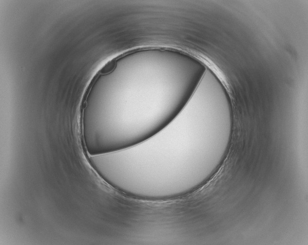 X0000116640996200912140941