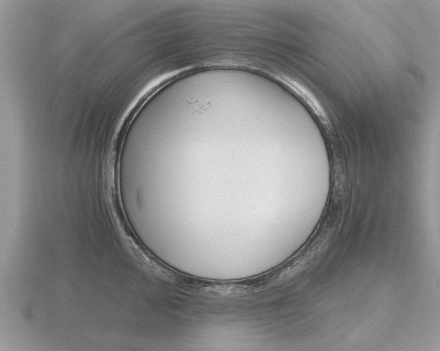 X0000116641000200912140941