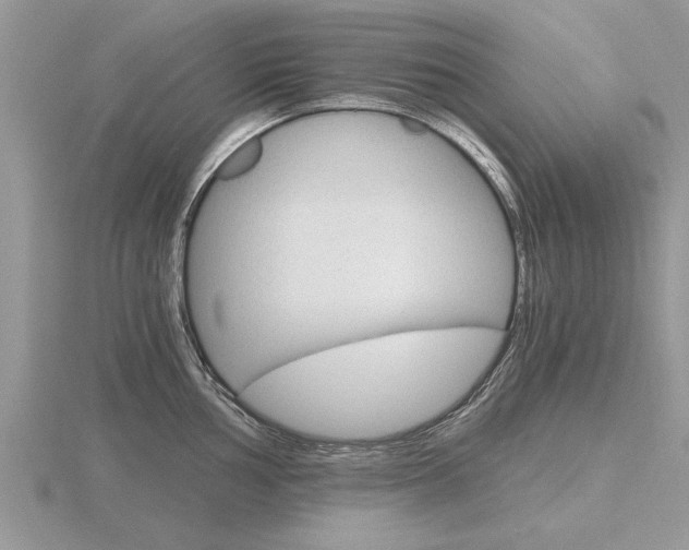X0000116641002200912140941