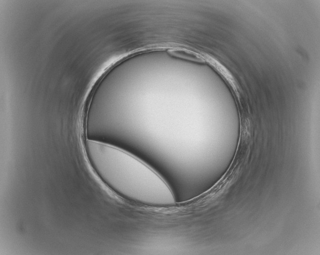 X0000116641005200912140941