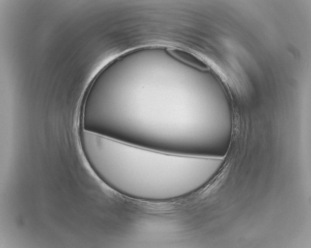 X0000116641007200912140941