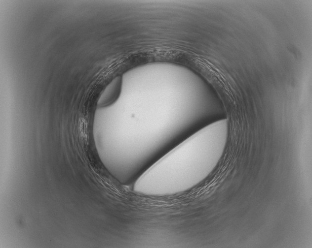 X0000116641010200912140940