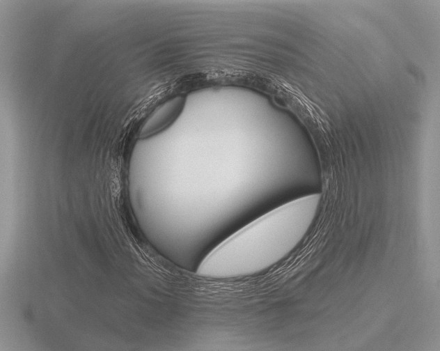 X0000116641012200912140941