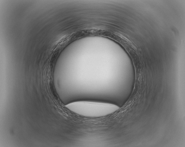 X0000116641014200912140941