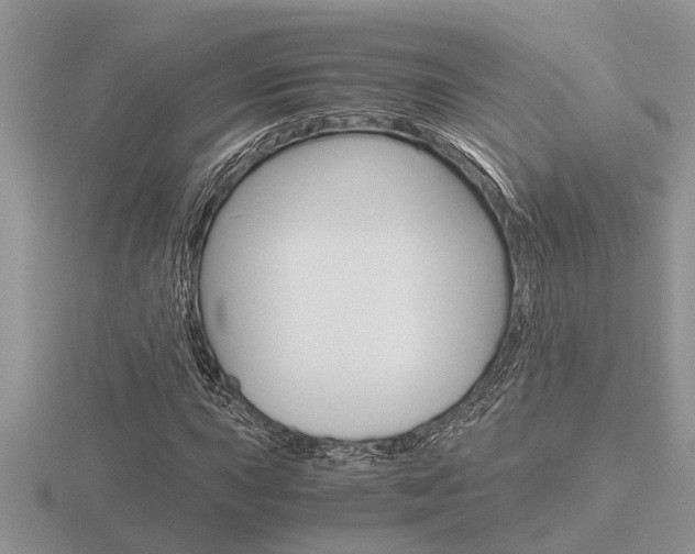 X0000116641015200912140941