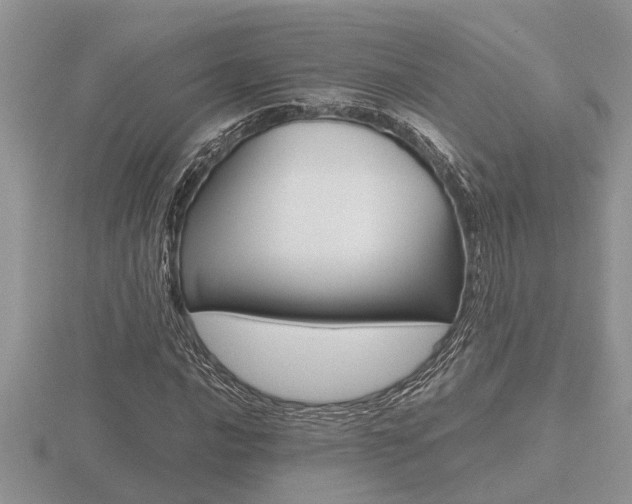 X0000116641016200912140941