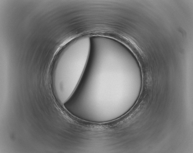 X0000116641018200912140941