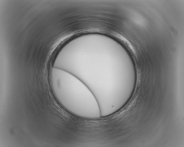X0000116641019200912140941
