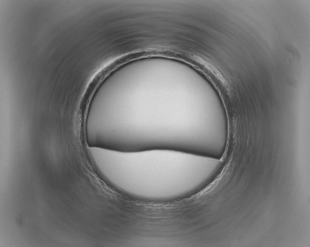 X0000116641021200912140941