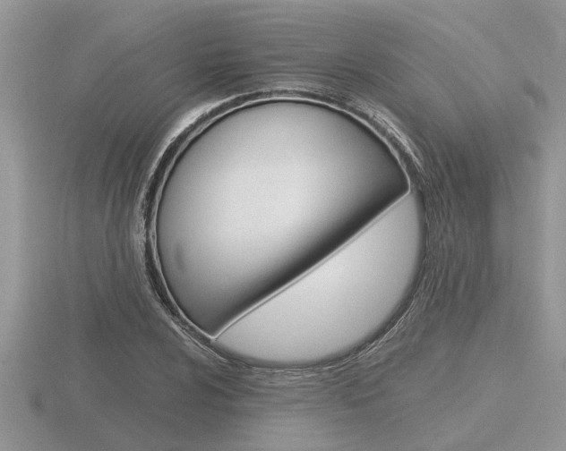 X0000116641024200912140941