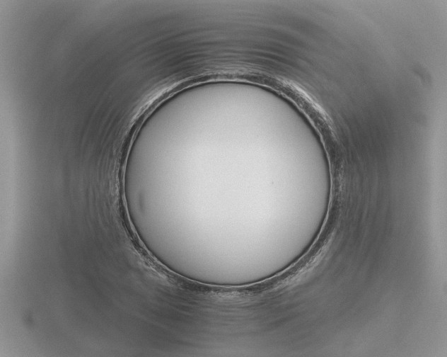 X0000116641025200912140941