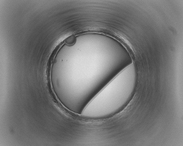 X0000116641026200912140941
