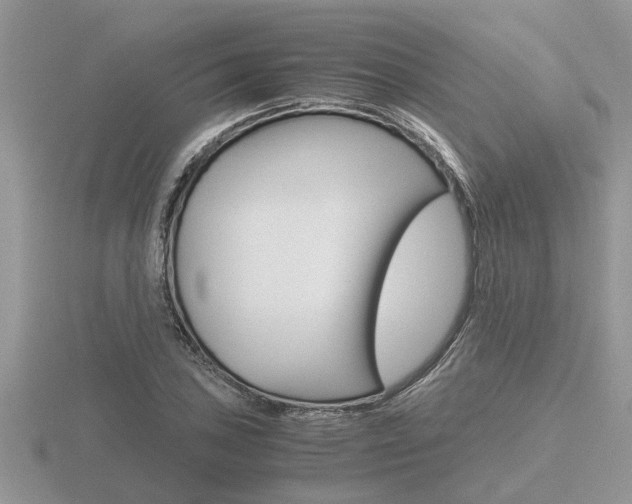 X0000116641027200912140941
