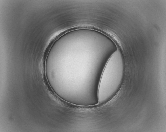 X0000116641030200912140941