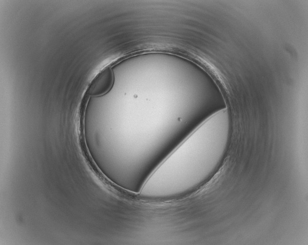 X0000116641034200912140941