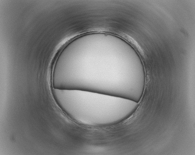X0000116641035200912140941
