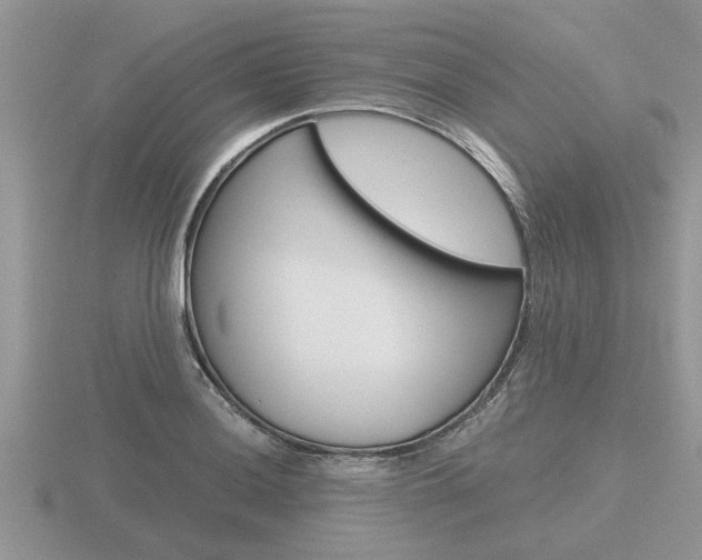 X0000116641036200912140941
