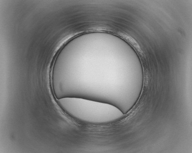 X0000116641039200912140941