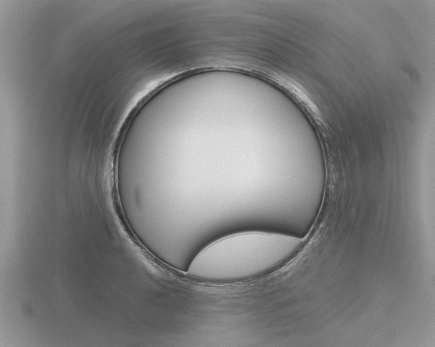 X0000116641040200912140941