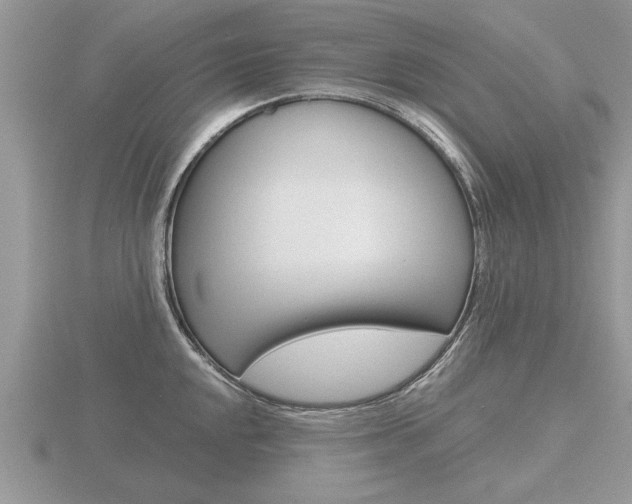 X0000116641048200912140941