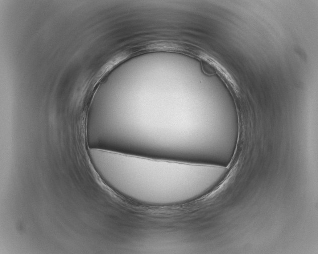 X0000116641049200912140941
