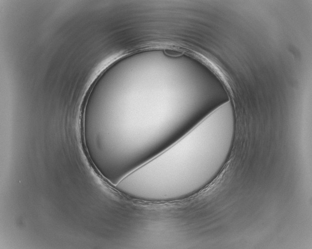 X0000116641050200912140941