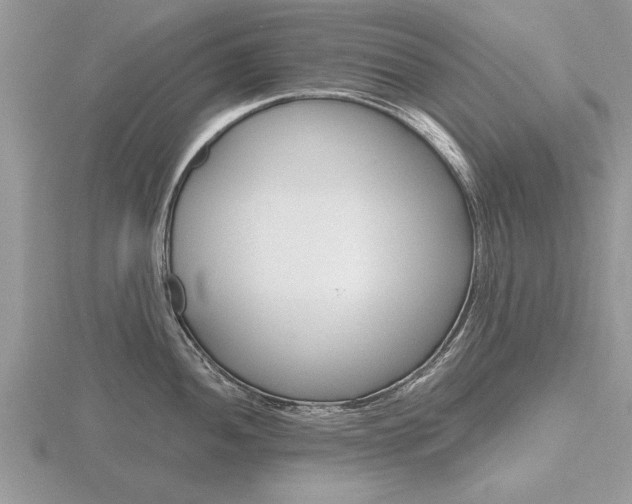X0000116641052200912140941