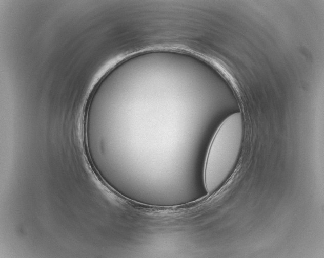 X0000116641054200912140941
