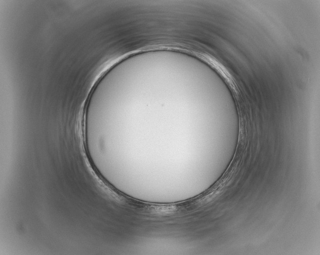 X0000116641055200912140941