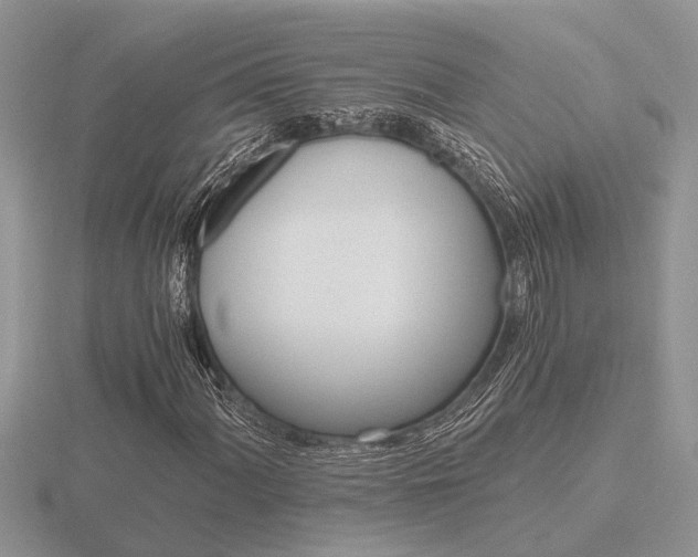 X0000116641060200912140940